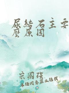 尿结石主要是什么原因