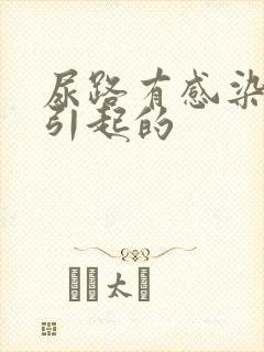 尿路有感染怎么引起的