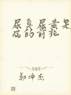 尿臭尿黄是什么病的前兆