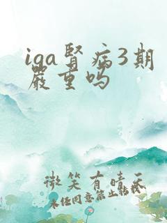 iga肾病3期严重吗