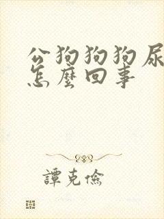 公狗狗狗尿血是怎么回事