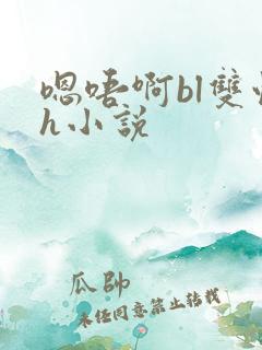 嗯唔啊bl双性h小说