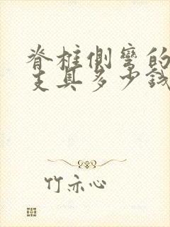 脊椎侧弯的矫正支具多少钱