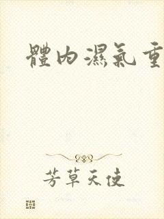 体内湿气重除湿