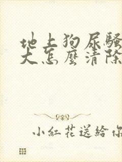 地上狗尿骚味很大怎么清除