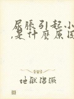 尿胀引起小腹疼,是什么原因