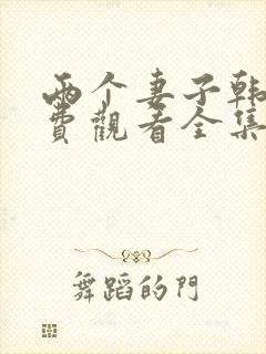 两个妻子韩剧免费观看全集