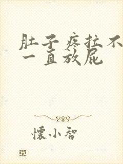 肚子疼拉不出屎一直放屁