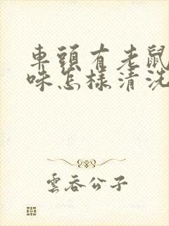 车头有老鼠尿臭味怎样清洗