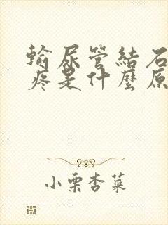 输尿管结石有点疼是什么原因