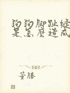 狗狗脚趾缝红肿是怎么造成的