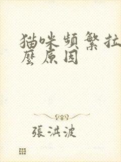 猫咪频繁拉尿什么原因