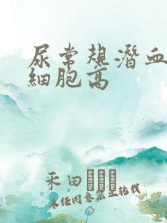 尿常规潜血和白细胞高