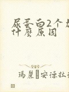 尿蛋白2个加号什么原因