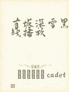 有坂深雪黑人在线播放