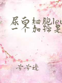 尿白细胞leu一个加号是什么意思