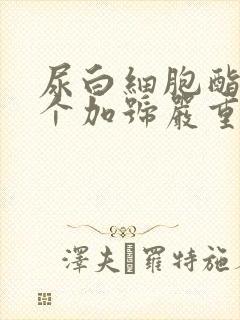 尿白细胞酯酶2个加号严重吗