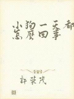 小狗一天都不尿怎么回事