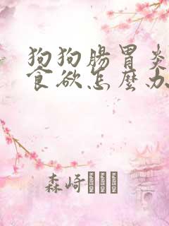 狗狗肠胃炎没有食欲怎么办