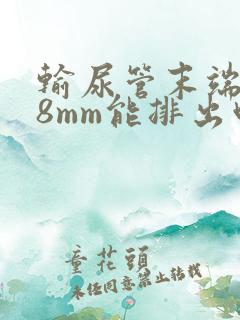 输尿管末端结石8mm能排出吗