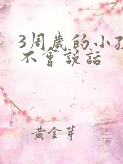 3周岁的小孩还不会说话