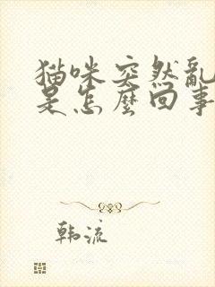 猫咪突然乱拉尿是怎么回事