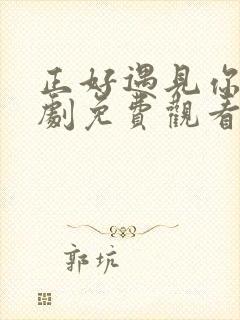 正好遇见你电视剧免费观看全集