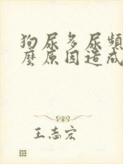 狗尿多尿频是什么原因造成的