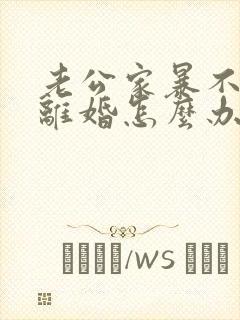 老公家暴不同意离婚怎么办