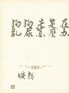 狗狗老是在家里乱尿怎么办