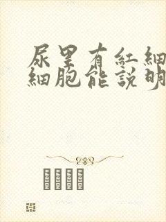 尿里有红细胞白细胞能说明什么问题