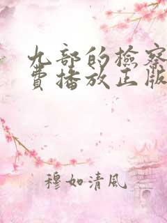 九部的检察官免费播放正版