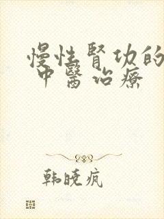 慢性肾功的衰竭 中医治疗