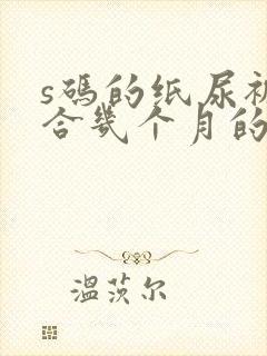 s码的纸尿裤适合几个月的宝宝