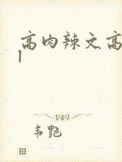 高肉辣文高肉bl
