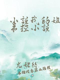 小说我的姐姐很弟控小说