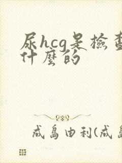 尿hcg是检查什么的