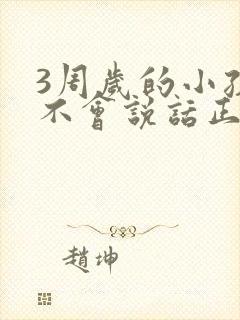 3周岁的小孩还不会说话正常吗