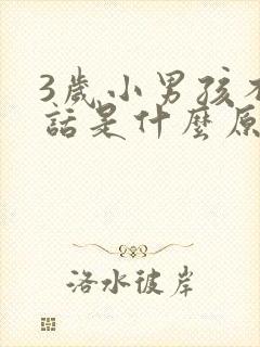 3岁小男孩不说话是什么原因