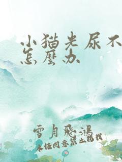 小猫光尿不拉屎怎么办