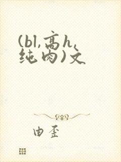 (bl,高h,纯肉)文