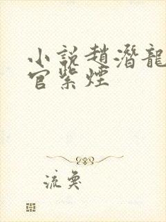 小说赵潜龙和上官紫烟