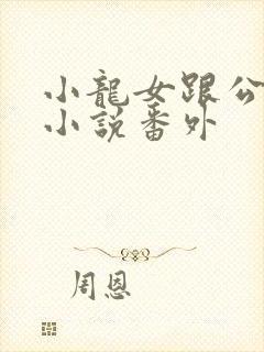 小龙女跟公孙止小说番外