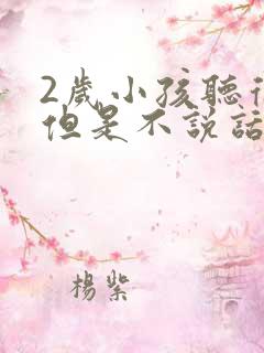 2岁小孩听得懂但是不说话