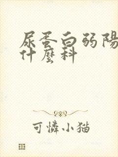 尿蛋白弱阳性挂什么科