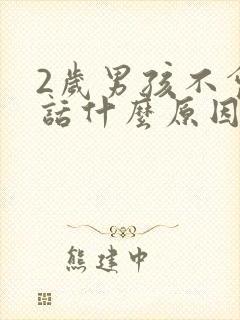 2岁男孩不会说话什么原因