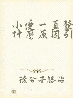 小便一直发黄是什么原因引起的