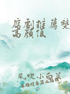 腐剧推荐双男主高颜值