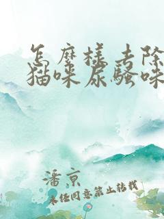 怎么样去除屋里猫咪尿骚味