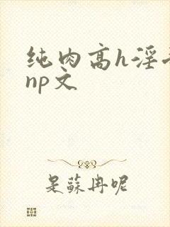 纯肉高h淫受文np文